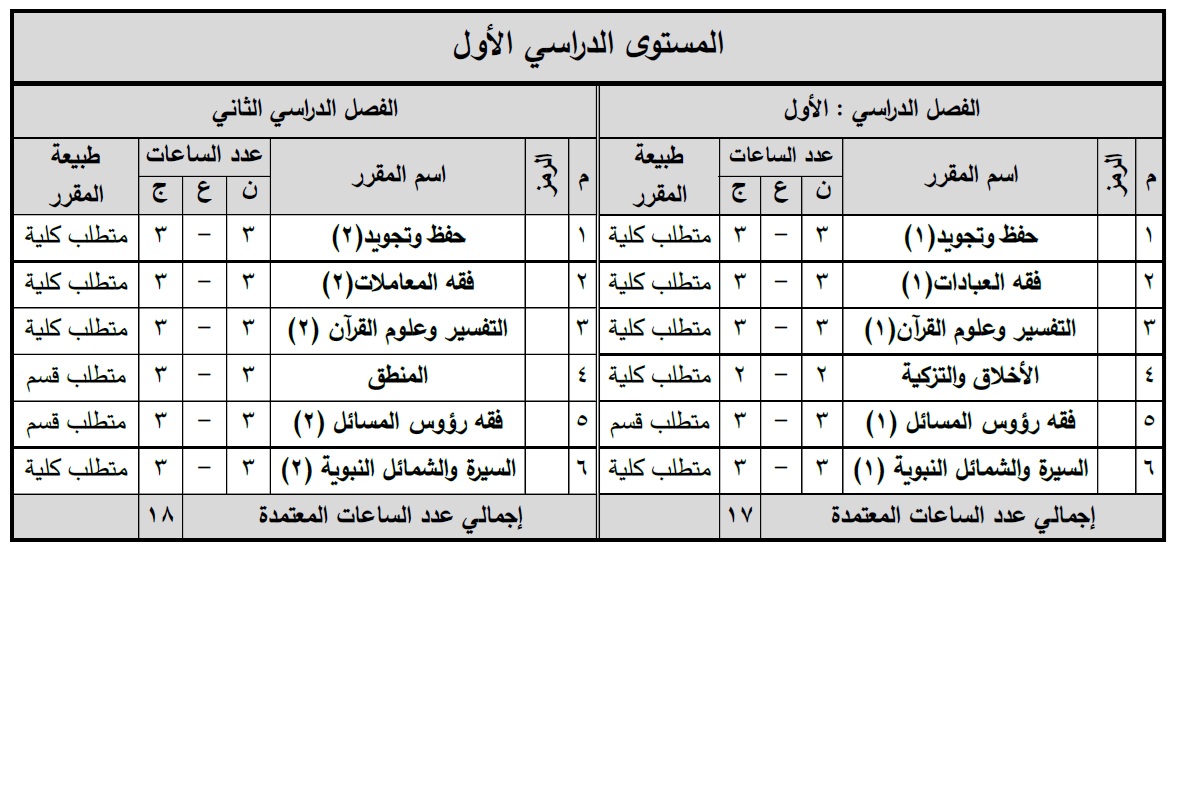 المستوى الدراسي الأول
